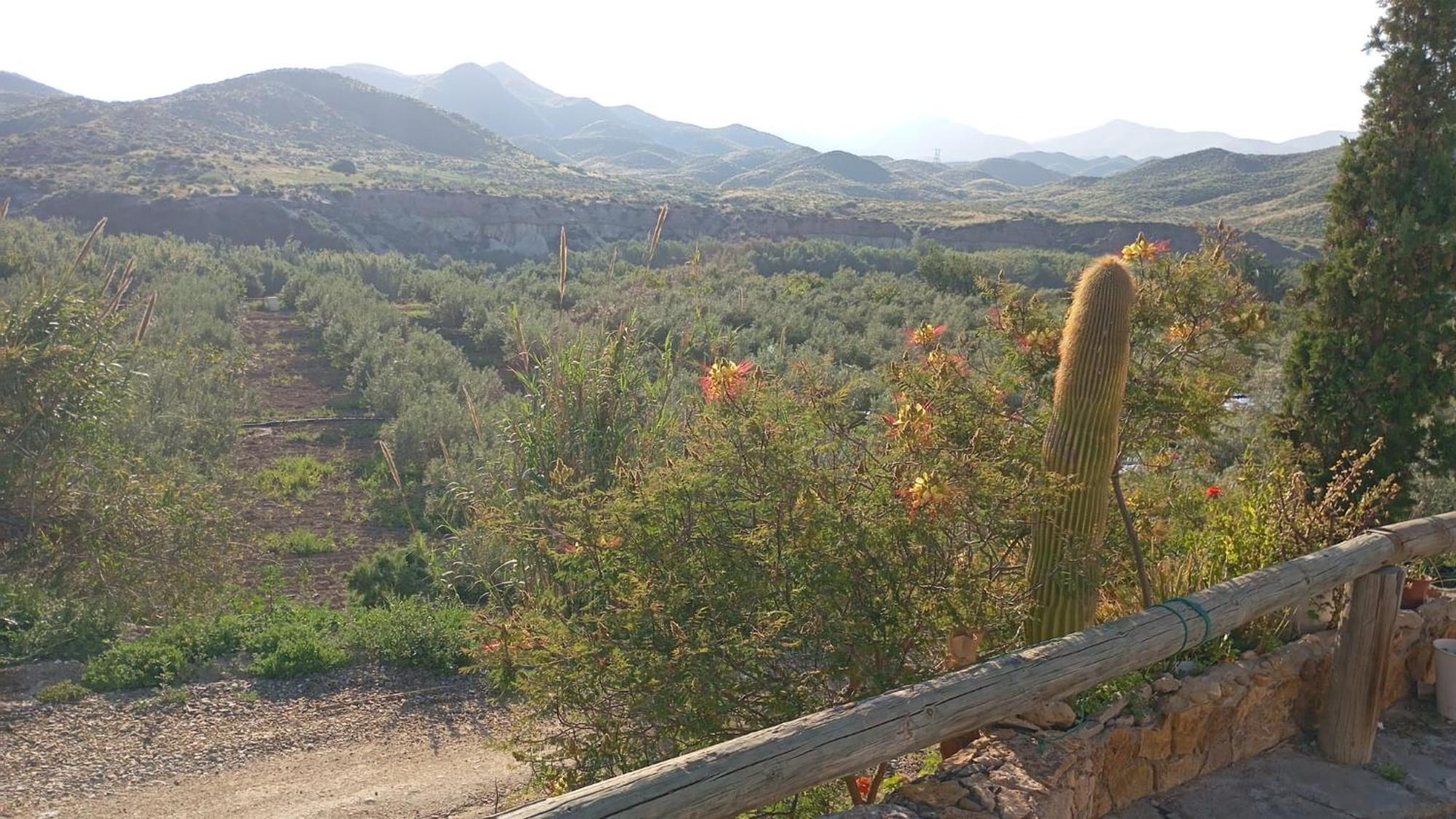 Cortijo Rural Molino El Tarahal Con Piscina Y Zonas Compartidas المظهر الخارجي الصورة